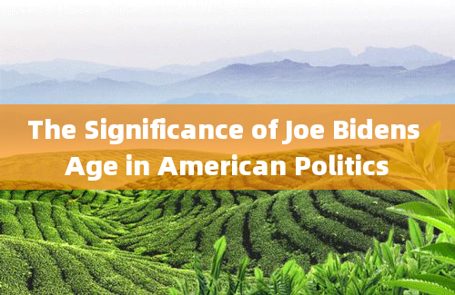 The Significance of Joe Bidens Age in American Politics