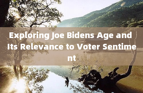 Exploring Joe Bidens Age and Its Relevance to Voter Sentiment