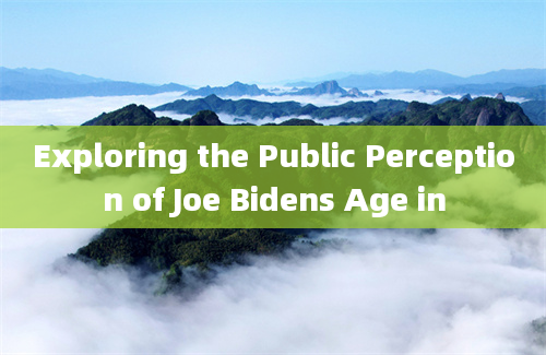 Exploring the Public Perception of Joe Bidens Age in