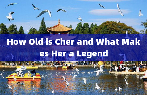 How Old is Cher and What Makes Her a Legend